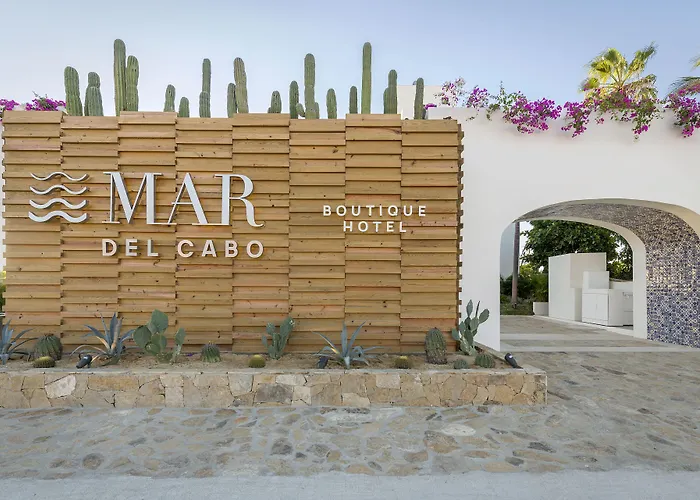 Mar Del Cabo By Velas Adults Only Hotel San Jose del Cabo